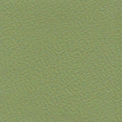 56 Thunderbird Sage Green Large Vinyl Floor Cover